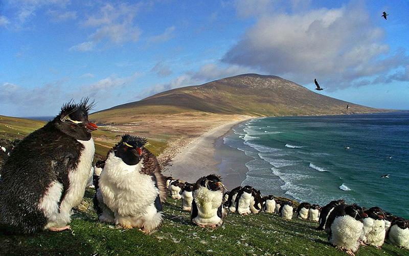 幾內(nèi)亞比紹小國移民：選擇專業(yè)公司，邁向國際化生活