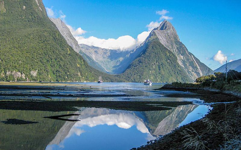 新西蘭創(chuàng)業(yè)移民找誰？選擇專業(yè)的移民服務(wù)是關(guān)鍵