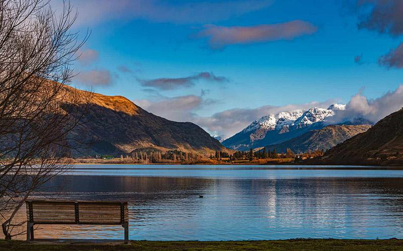信用卡逾期能不能移民？解析信用卡逾期對移民的影響與解決辦法