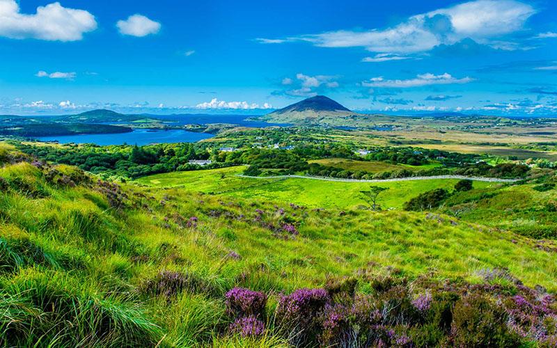 中國(guó)香港優(yōu)才