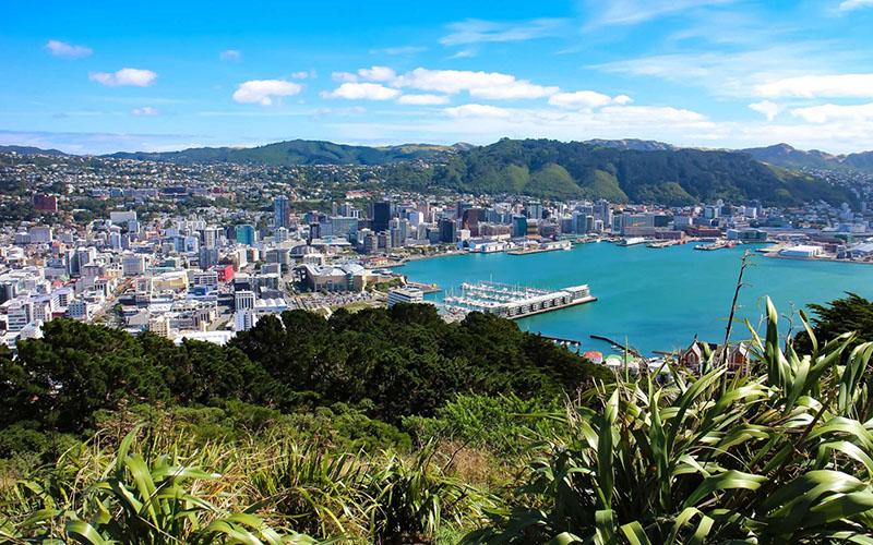 移民影響了誰？深入探討全球移民現(xiàn)象的多方影響