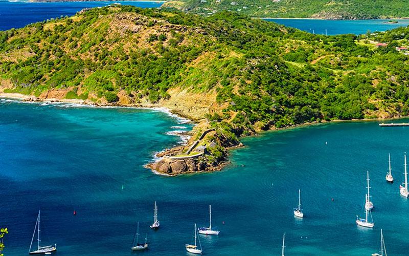 日本移民到底有哪好？大批中國(guó)精英涌向日本