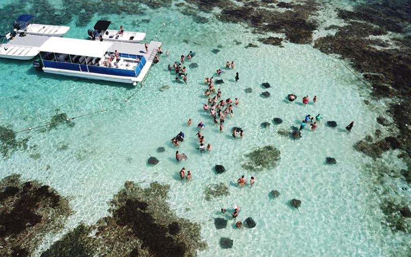 日本移民費(fèi)用大揭秘！一次性投資多少錢才能成功移民？