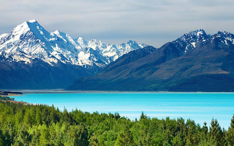 新西蘭有沒有創(chuàng)業(yè)移民？申請條件與流程詳解