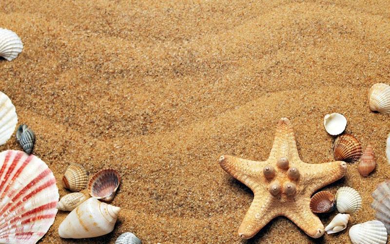 投資移民是否值得投資？全面分析投資移民的利與弊