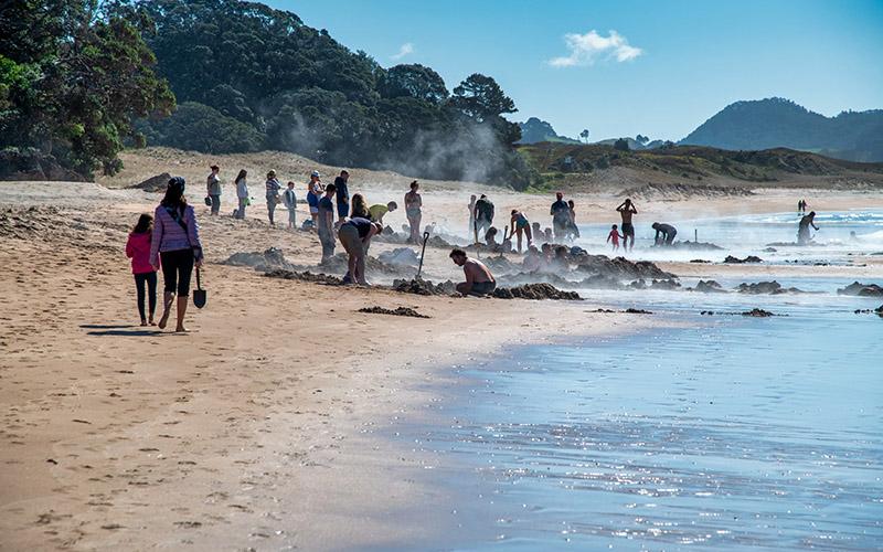 中國香港投資移民有沒有移民監(jiān)？詳細解讀中國香港投資移民政策