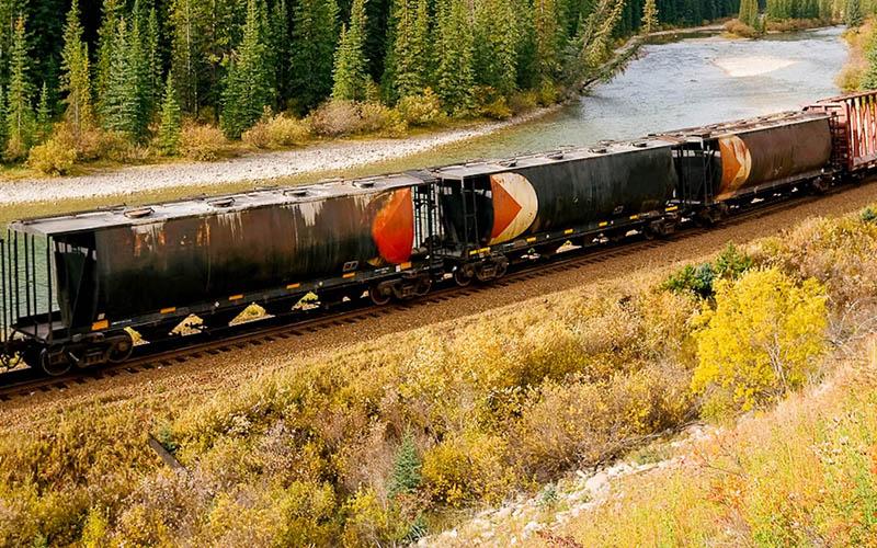 投資馬耳他移民多少錢？全面解析費用與注意事項