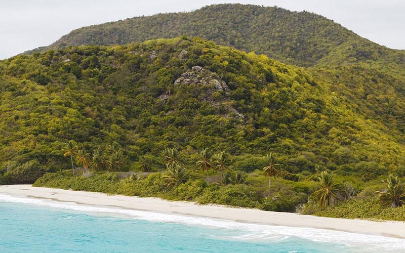 較近移民中介火爆原因？為何移民服務需求激增？