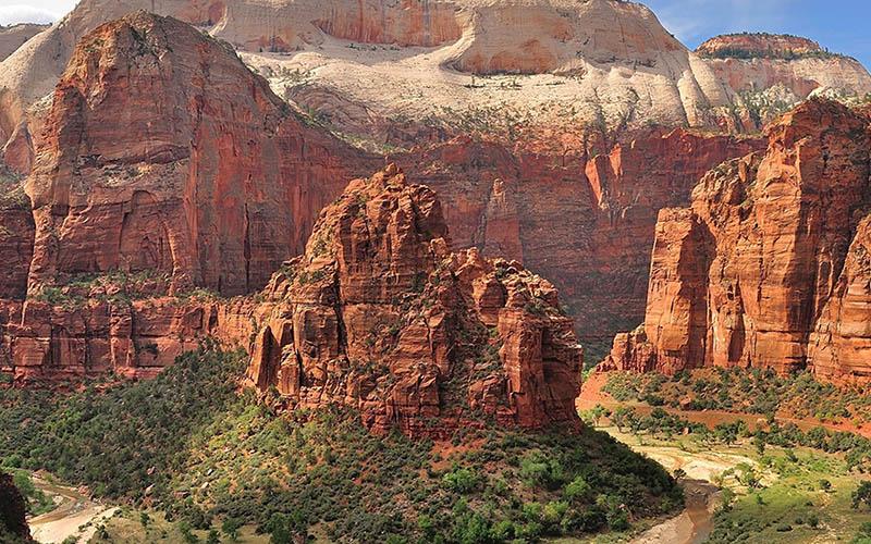 要不要留在美國(guó)？深入探討移居美國(guó)的優(yōu)缺點(diǎn)