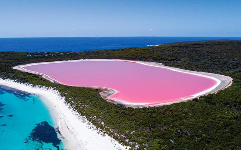 美國移民啥政策？解讀較新移民政策與申請流程