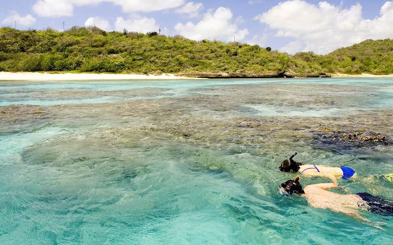 為啥移民中介收錢(qián)呢？中介收費(fèi)的原因與服務(wù)解析