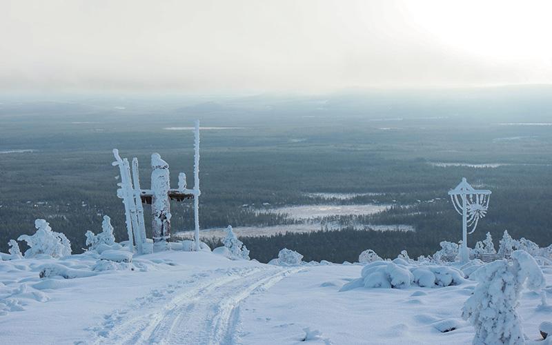 投資移民款能不能收回？投資移民資金回收的可能性與條件分析