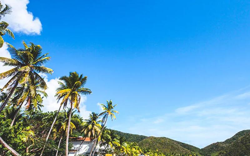 怎樣移民國家免費(fèi)咨詢？解析移民過程中必備的咨詢服務(wù)