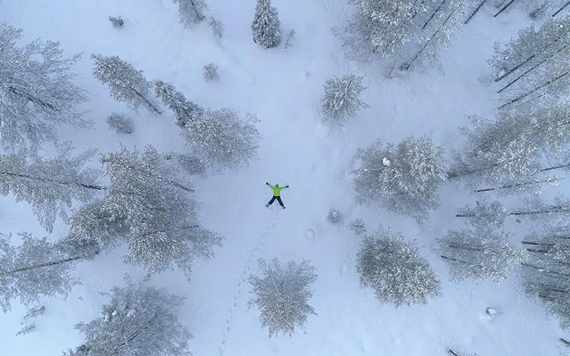 180萬海外移民都是誰？解密人群構(gòu)成與動因