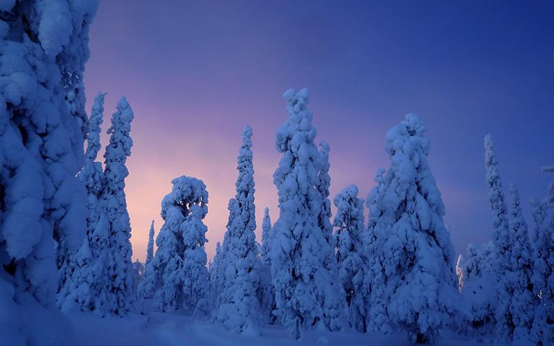 廣州海外移民要多久？詳細(xì)解析移民申請流程與時間安排