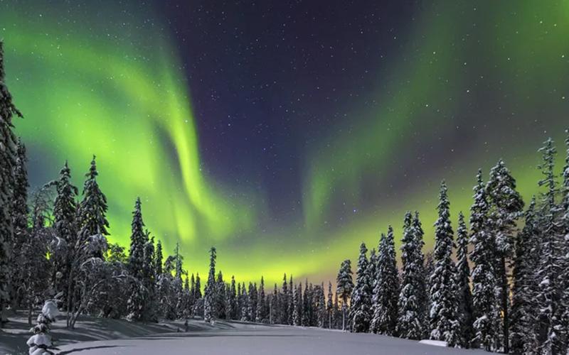 廣東現(xiàn)在有沒有海外移民的？全面解析移民現(xiàn)狀與趨勢