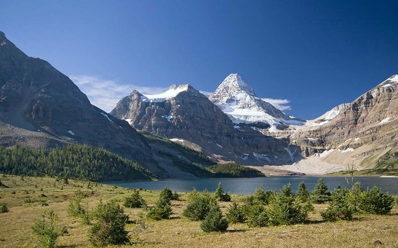 海外移民太多的原因？探索全球移民潮背后的多重因素