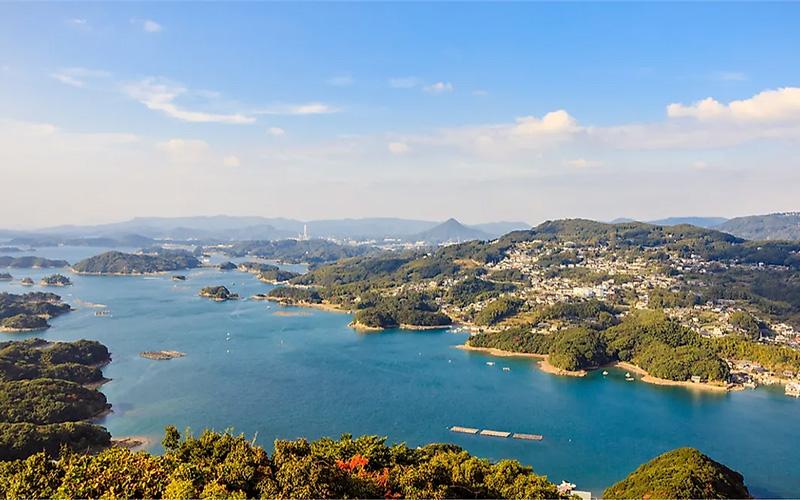 多米尼克移民得花多少錢？詳細解析移民多米尼克的費用結(jié)構(gòu)