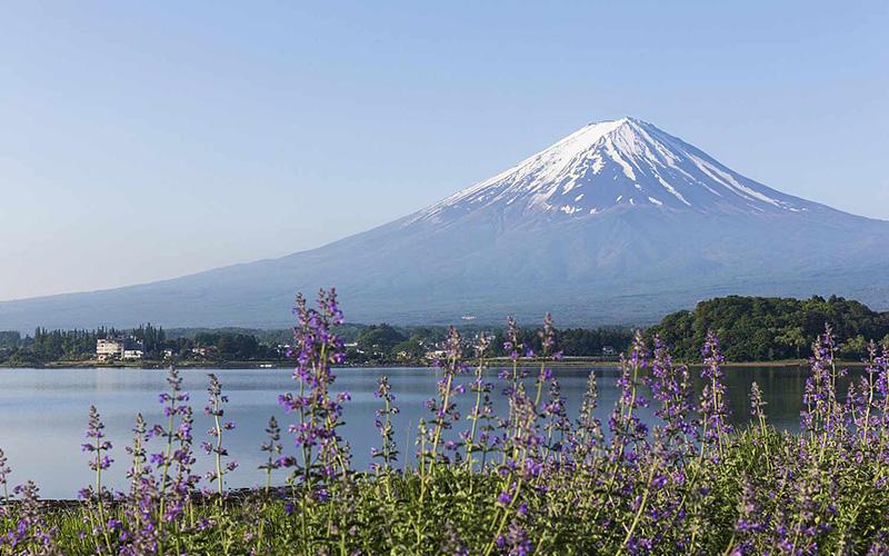 投資移民對(duì)經(jīng)濟(jì)影響有多大？深度解析全球經(jīng)濟(jì)與移民投資的關(guān)系