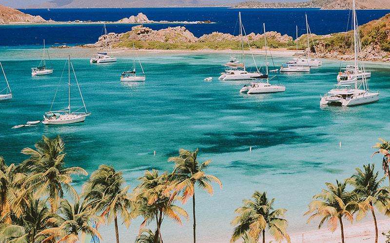 誰移民了多米尼克？探索多米尼克移民的背后故事