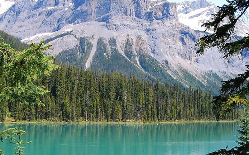 中國有多少人移民國外？深度解析趨勢與原因