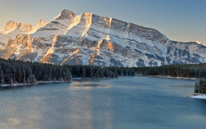 護(hù)士移民出國(guó)的原因？探索護(hù)士職業(yè)發(fā)展的全球機(jī)遇