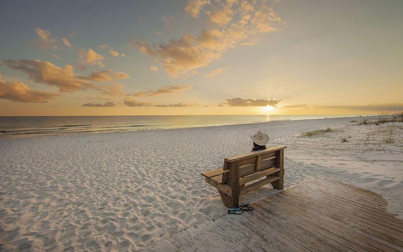 太原多米尼克移民多少錢？全面費用分析及實用建議