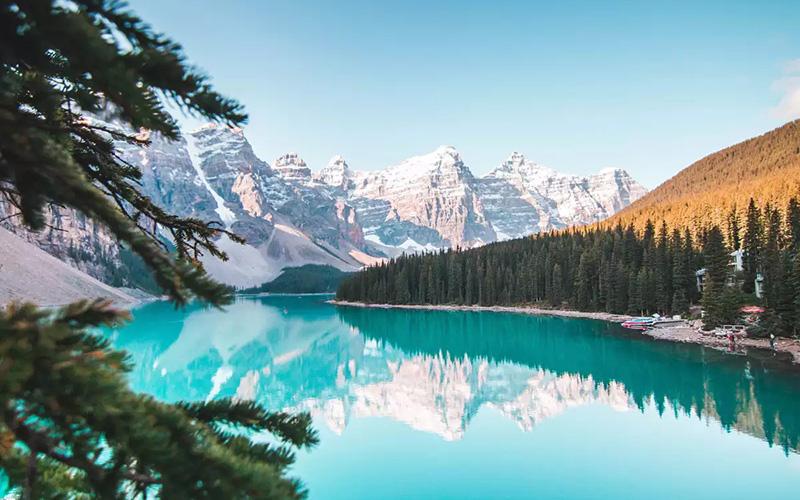 上海為什么咨詢移民？揭示上海居民移民需求的多種原因