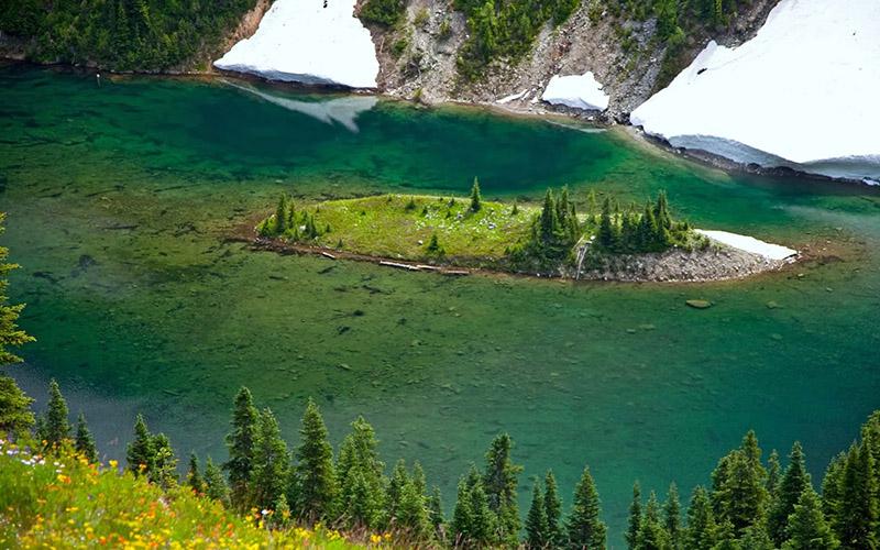 我為何移民多米尼克？深入分析選擇多米尼克的原因