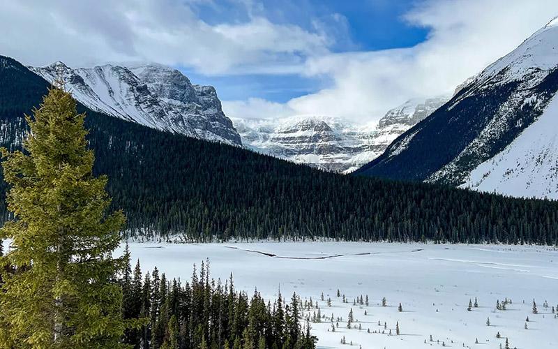 深圳移民機構(gòu)