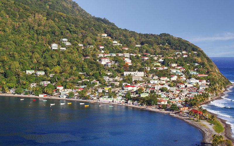 多米尼克移民要哪些條件？詳細解讀與申請流程