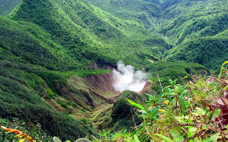 太原多米尼克移民在哪辦？如何選擇移民渠道