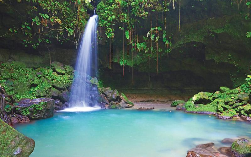 多米尼克移民收費怎樣？詳細解析移民費用及相關(guān)服務