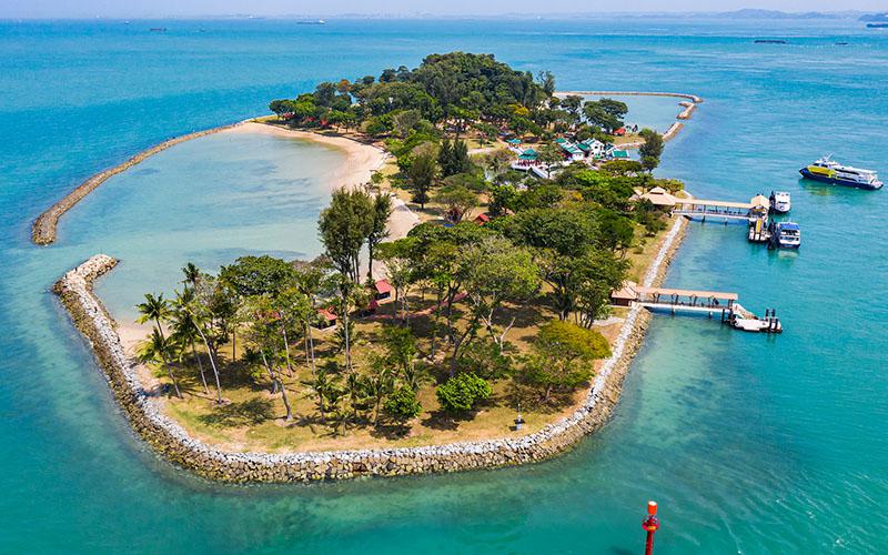 圣基茨投資入籍怎么投資？詳細(xì)介紹投資方式與流程