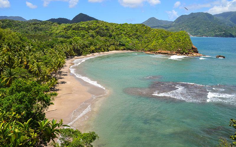 中山多米尼克移民多少錢？費用明細(xì)與流程解析