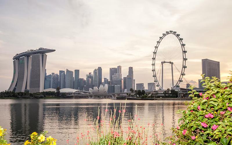 女生是否適合移民新加坡？全面解析優(yōu)勢與注意事項(xiàng)