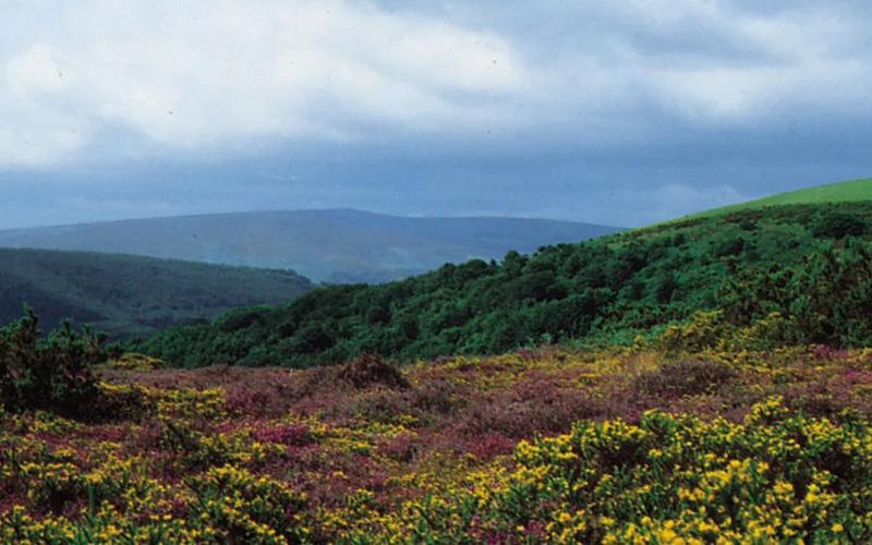 移民人員出國是否要打疫苗？全面解析出國健康準(zhǔn)備