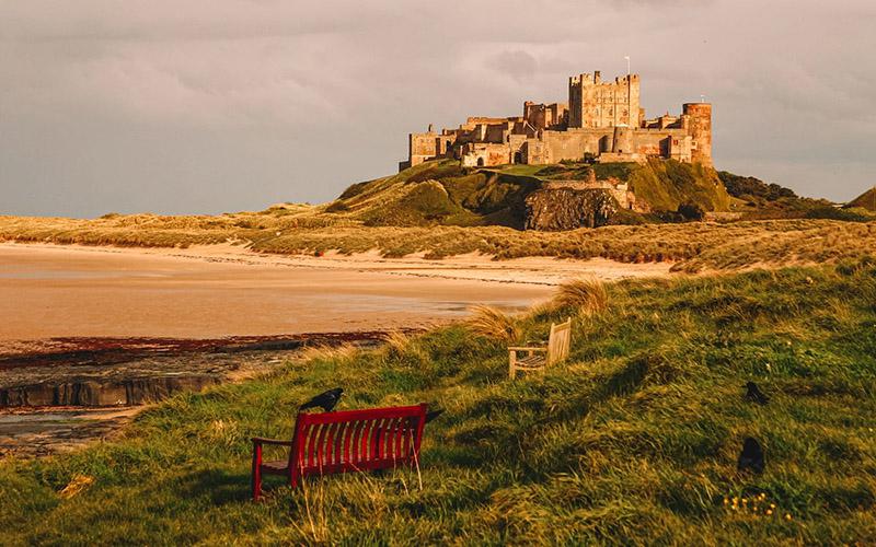 能不能自己辦理移民？詳細(xì)解析步驟與注意事項