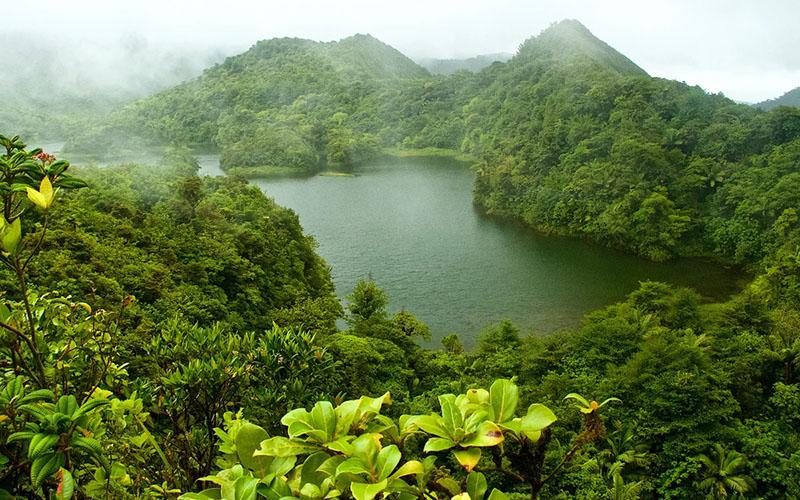 多米尼克移民有什么益處？詳細(xì)解析多元優(yōu)勢