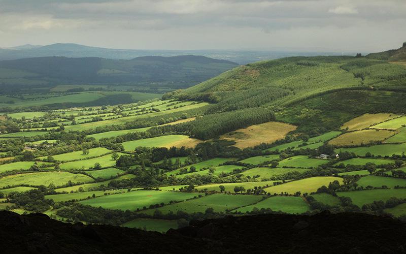 移民要不要先學(xué)好外語(yǔ)英語(yǔ)？探討外語(yǔ)學(xué)習(xí)對(duì)移民的重要性